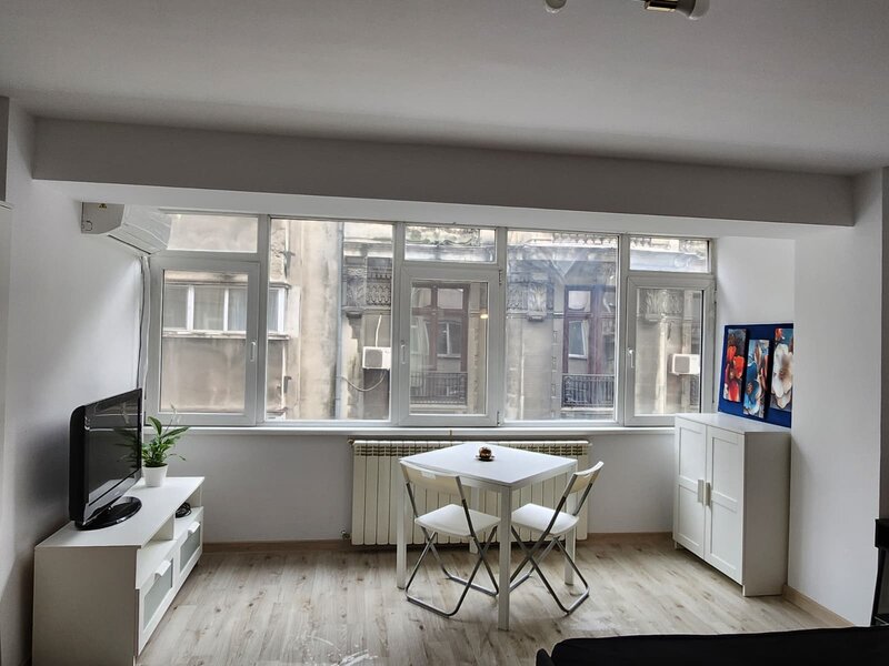 Ion Brezoianu, Cismigiu, Universitate Garsoniera de inchiriat