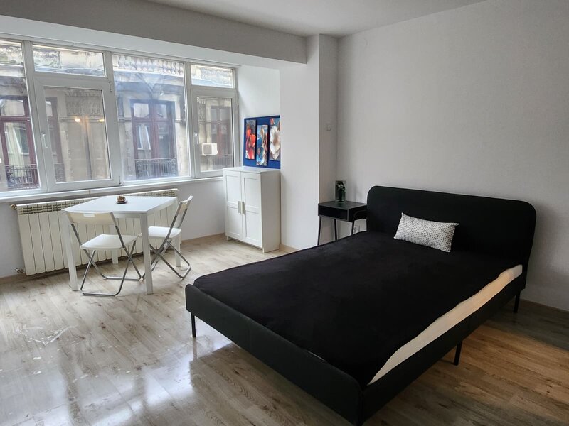 Ion Brezoianu, Cismigiu, Universitate Garsoniera de inchiriat