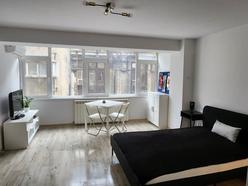 Ion Brezoianu, Cismigiu, Universitate Garsoniera de inchiriat