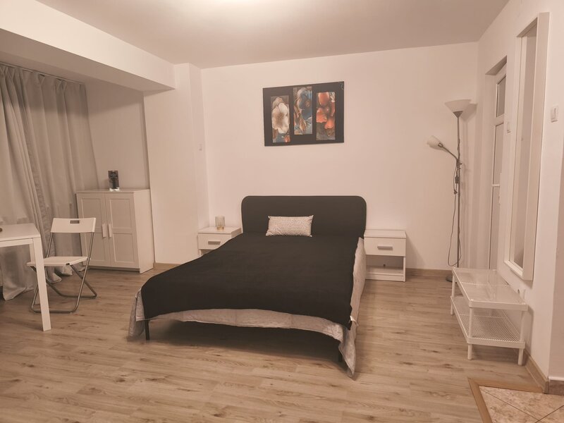 Ion Brezoianu, Cismigiu, Universitate Garsoniera de inchiriat