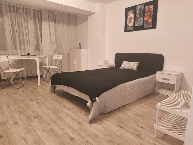 Ion Brezoianu, Cismigiu, Universitate Garsoniera de inchiriat