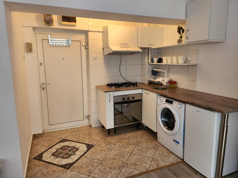 Ion Brezoianu, Cismigiu, Universitate Garsoniera de inchiriat